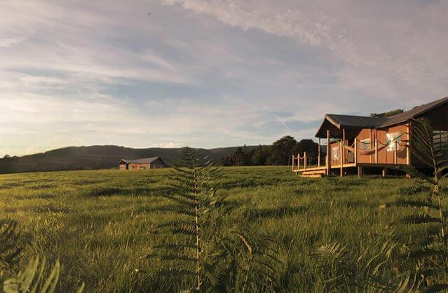 Property name image