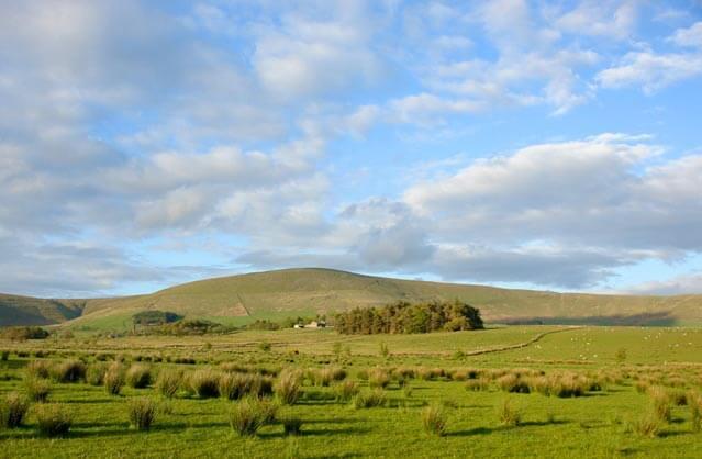 Property name image