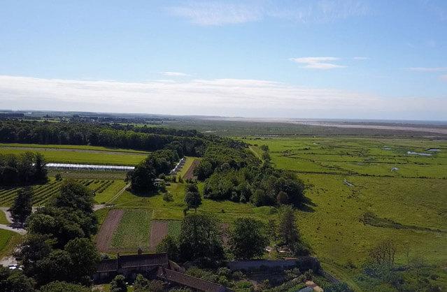 Property name image