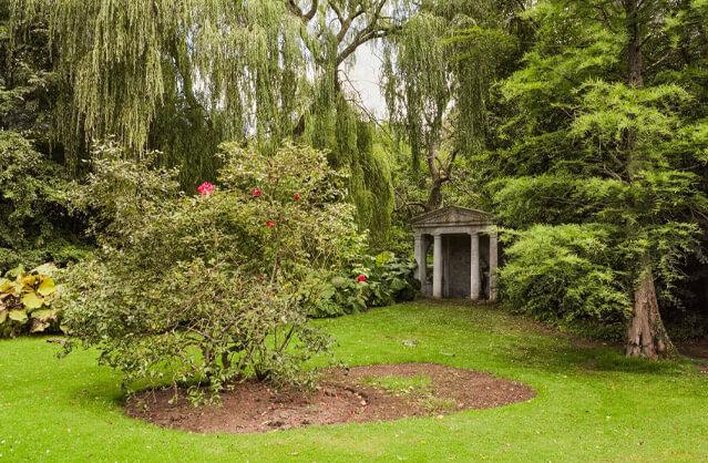 Property name image