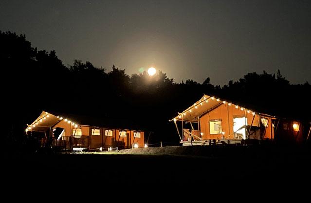 Hen House in Bournemouth