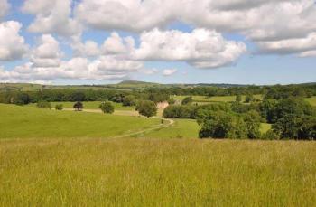 Property name image