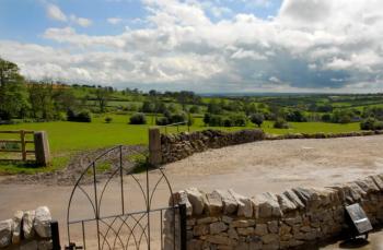Property name image