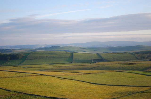 Property name image