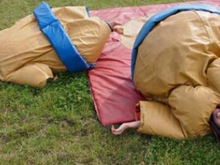 Sumo Wrestling