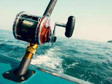 Shark Fishing image