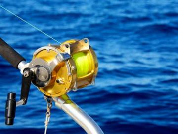 Shark Fishing image