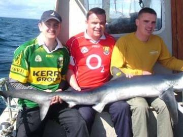 Shark Fishing image