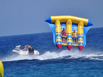 Flying Fish image