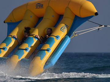 Flying Fish image