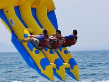 Flying Fish image