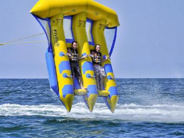 Flying Fish image