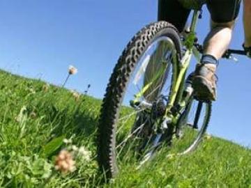 City Bike Tour image