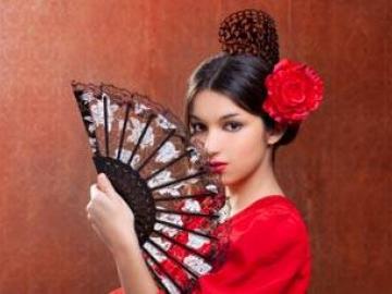 Flamenco Class image