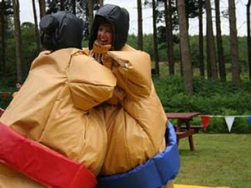 Sumo Wrestling image
