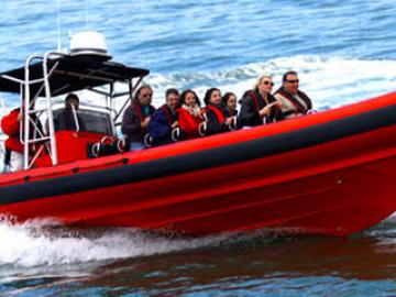 Speedboat Tour image