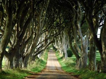 Game of Thrones Tour image