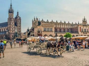 City Tour image