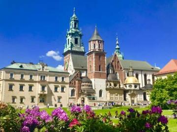 City Tour image