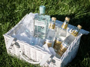 Punt and Gin image