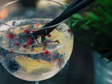 Gin Tasting image