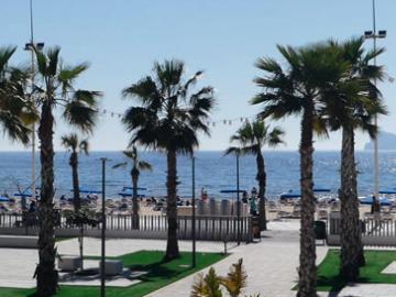 Beachfront Bar and Paella image