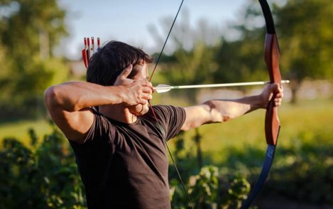 Stags and Arrows