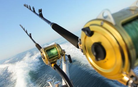 A Corking Good Catch