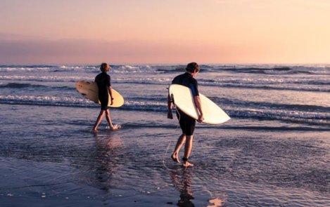 Surf's Up!