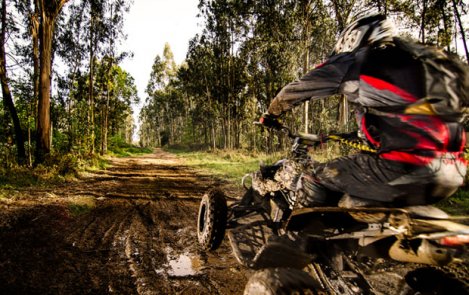 Off Road Action