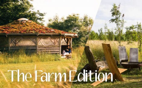 Hen-Fest - The Farm Edition
