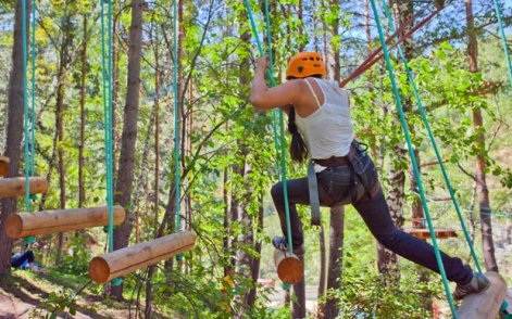 High Ropes And Cocktails