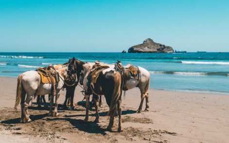 Beach Riders