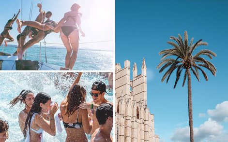 Perfect Palma
