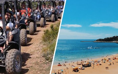 Sun, Sea and Safari