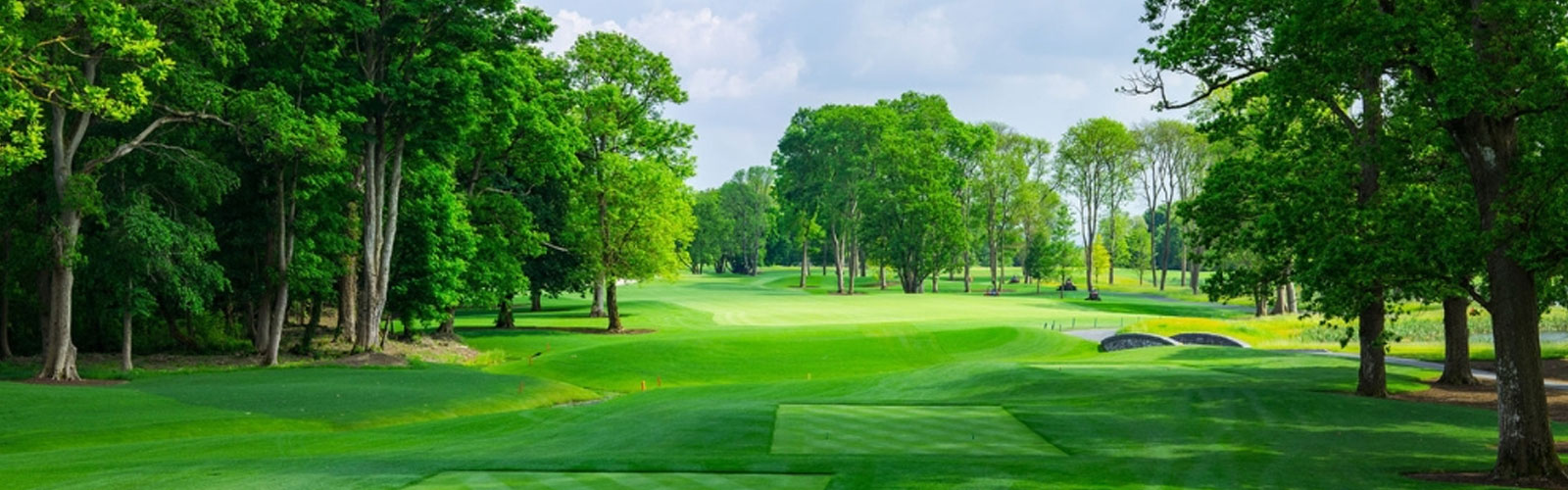 Golf Holidays Limerick