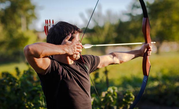 Stags and Arrows image