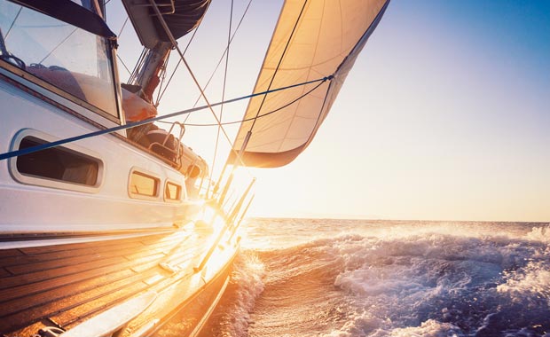 Seas the Day image