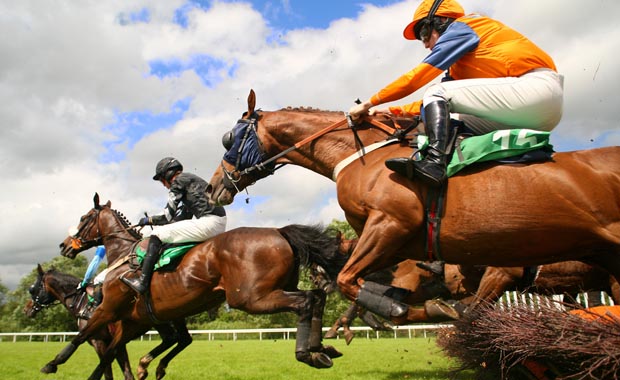 Grandstand Gals image