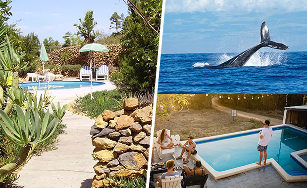 Ocean Breeze & Party Nights image