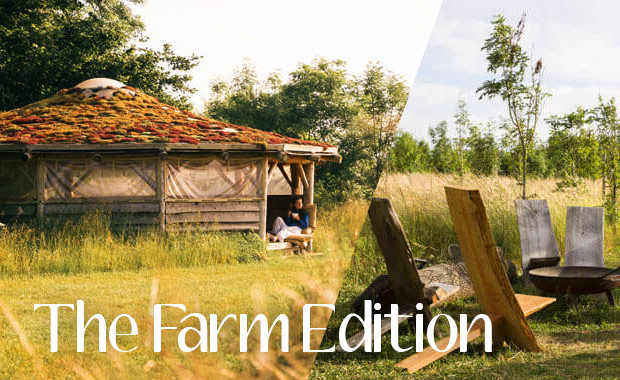 Hen-Fest - The Farm Edition image