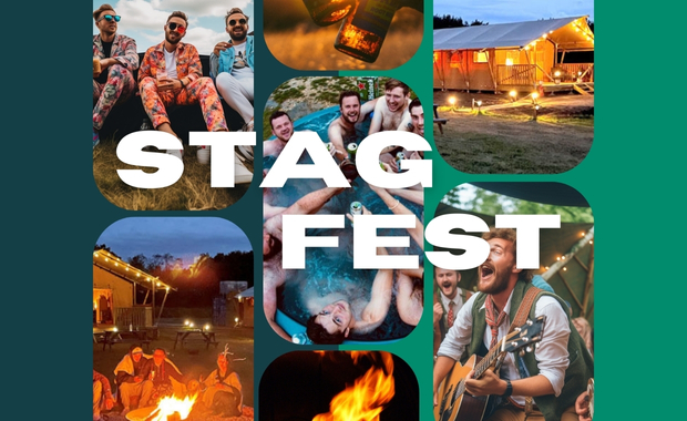 The StagFest image