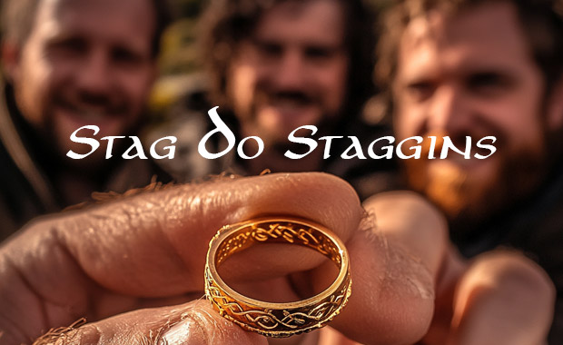 Stag Do Staggins image