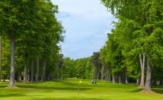 Forest Pines Hotel & Golf Resort (1 Night, Half Board + 2 Rounds)