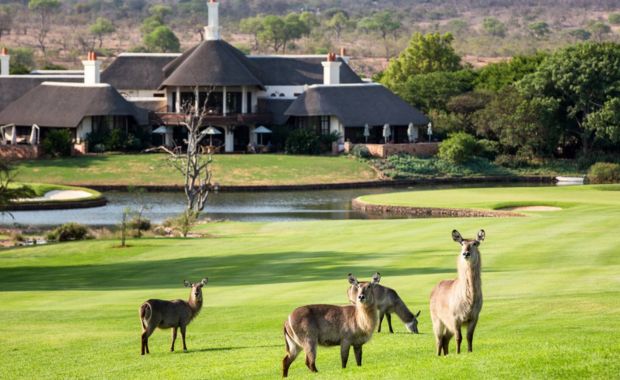 South African Golf & Safari Adventure
