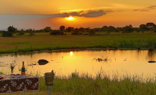 South African Cape, Vines & Safari