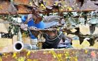 paintball and quads image