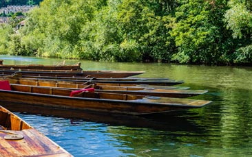 punting image