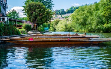 punting image