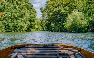 punting image